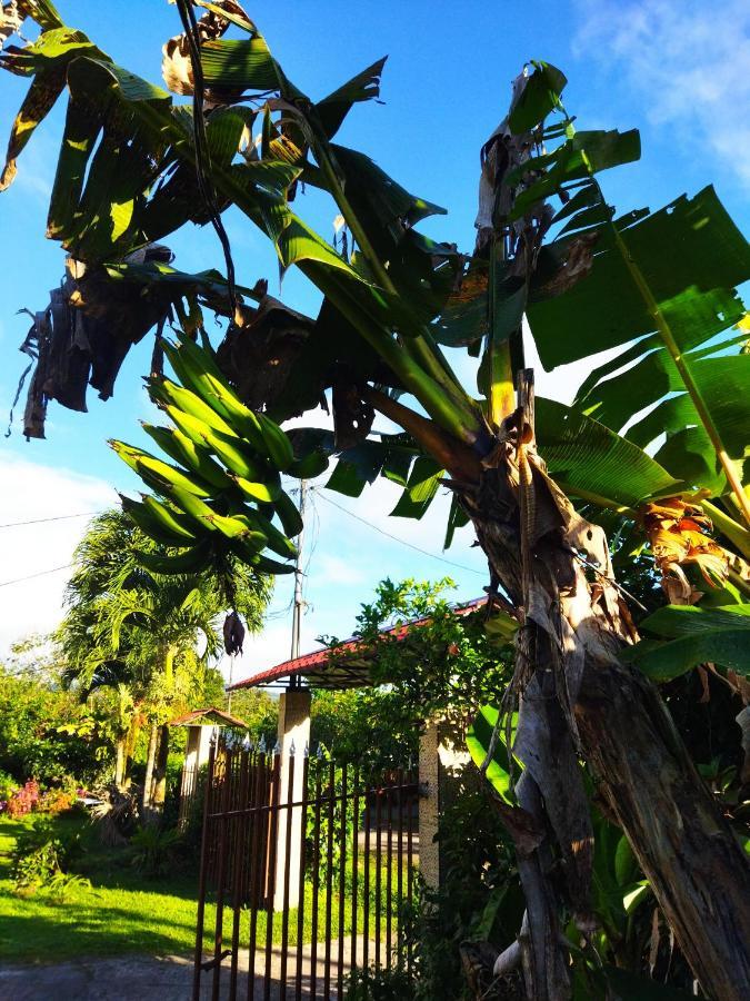 Bijagua Paradise Rio Celeste Exterior foto
